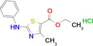 Ethyl 4-methyl-2-(phenylamino)-1,3-thiazole-5-carboxylate hydrochloride