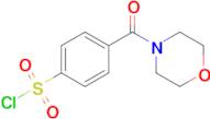 4-(Morpholine-4-carbonyl)benzene-1-sulfonyl chloride