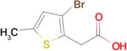 2-(3-Bromo-5-methylthiophen-2-yl)acetic acid