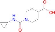 1-(Cyclopropylcarbamoyl)piperidine-4-carboxylic acid