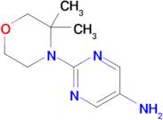 2-(3,3-Dimethylmorpholin-4-yl)pyrimidin-5-amine