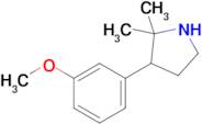 3-(3-Methoxyphenyl)-2,2-dimethylpyrrolidine