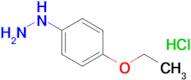 (4-Ethoxyphenyl)hydrazine hydrochloride