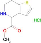 Methyl 4,5,6,7-tetrahydrothieno[3,2-c]pyridine-4-carboxylate hydrochloride