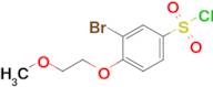 3-Bromo-4-(2-methoxyethoxy)benzene-1-sulfonyl chloride