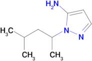 1-(4-Methylpentan-2-yl)-1h-pyrazol-5-amine