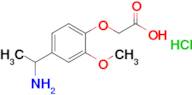 2-[4-(1-aminoethyl)-2-methoxyphenoxy]acetic acid hydrochloride