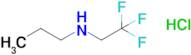 Propyl(2,2,2-trifluoroethyl)amine hydrochloride