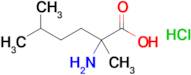 2-Amino-2,5-dimethylhexanoic acid hydrochloride