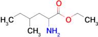 Ethyl 2-amino-4-methylhexanoate