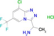 1-[8-chloro-6-(trifluoromethyl)-[1,2,4]triazolo[4,3-a]pyridin-3-yl]ethan-1-amine hydrochloride
