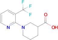 1-[3-(trifluoromethyl)pyridin-2-yl]piperidine-3-carboxylic acid