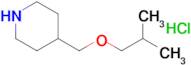 4-[(2-methylpropoxy)methyl]piperidine hydrochloride