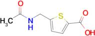 5-(Acetamidomethyl)thiophene-2-carboxylic acid