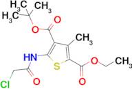 4-Tert-butyl 2-ethyl 5-(2-chloroacetamido)-3-methylthiophene-2,4-dicarboxylate