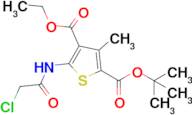 2-Tert-butyl 4-ethyl 5-(2-chloroacetamido)-3-methylthiophene-2,4-dicarboxylate