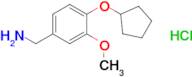 [4-(cyclopentyloxy)-3-methoxyphenyl]methanamine hydrochloride