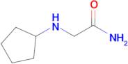 2-(Cyclopentylamino)acetamide