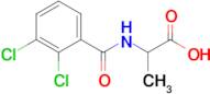 2-[(2,3-dichlorophenyl)formamido]propanoic acid