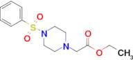 Ethyl 2-[4-(benzenesulfonyl)piperazin-1-yl]acetate