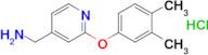 [2-(3,4-dimethylphenoxy)pyridin-4-yl]methanamine hydrochloride