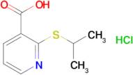 2-(Propan-2-ylsulfanyl)pyridine-3-carboxylic acid hydrochloride