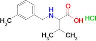 3-Methyl-2-{[(3-methylphenyl)methyl]amino}butanoic acid hydrochloride