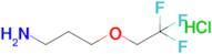 3-(2,2,2-Trifluoroethoxy)propan-1-amine hydrochloride