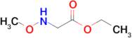 Ethyl 2-(methoxyamino)acetate