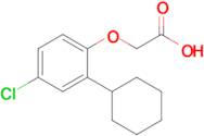 2-(4-Chloro-2-cyclohexylphenoxy)acetic acid