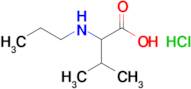 3-Methyl-2-(propylamino)butanoic acid hydrochloride