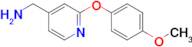 [2-(4-methoxyphenoxy)pyridin-4-yl]methanamine