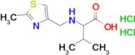 3-Methyl-2-{[(2-methyl-1,3-thiazol-4-yl)methyl]amino}butanoic acid dihydrochloride