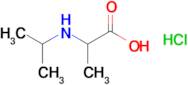 2-[(propan-2-yl)amino]propanoic acid hydrochloride