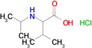 3-Methyl-2-[(propan-2-yl)amino]butanoic acid hydrochloride
