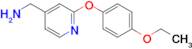 [2-(4-ethoxyphenoxy)pyridin-4-yl]methanamine