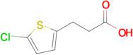 3-(5-Chlorothiophen-2-yl)propanoic acid