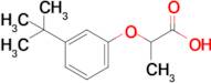 2-(3-Tert-butylphenoxy)propanoic acid