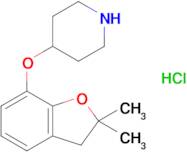 4-[(2,2-dimethyl-2,3-dihydro-1-benzofuran-7-yl)oxy]piperidine hydrochloride