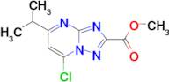 Methyl 7-chloro-5-(propan-2-yl)-[1,2,4]triazolo[1,5-a]pyrimidine-2-carboxylate