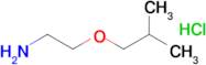 2-(2-Methylpropoxy)ethan-1-amine hydrochloride