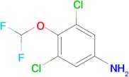 3,5-Dichloro-4-(difluoromethoxy)aniline