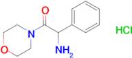 2-Amino-1-(morpholin-4-yl)-2-phenylethan-1-one hydrochloride