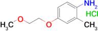 4-(2-Methoxyethoxy)-2-methylaniline hydrochloride