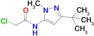 n-(3-Tert-butyl-1-methyl-1h-pyrazol-5-yl)-2-chloroacetamide