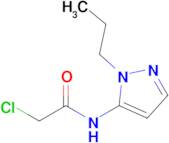 2-Chloro-n-(1-propyl-1h-pyrazol-5-yl)acetamide