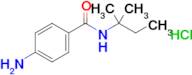 4-Amino-n-(2-methylbutan-2-yl)benzamide hydrochloride