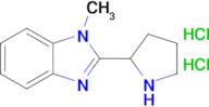 1-Methyl-2-(pyrrolidin-2-yl)-1h-1,3-benzodiazole dihydrochloride