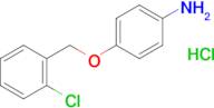 4-[(2-chlorophenyl)methoxy]aniline hydrochloride