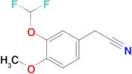 2-[3-(difluoromethoxy)-4-methoxyphenyl]acetonitrile